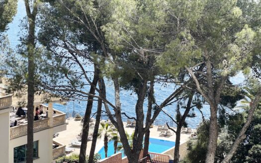 Apartment Illetes