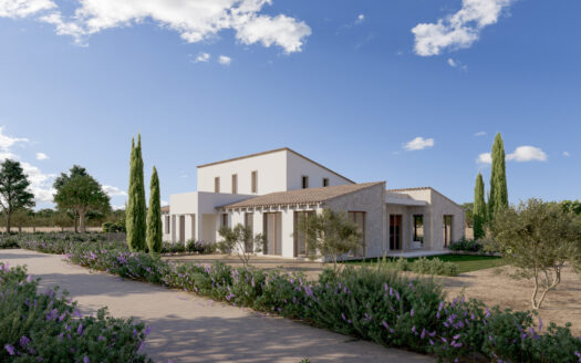 Finca Fogoneu