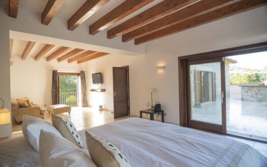 Mediterranean luxury villa