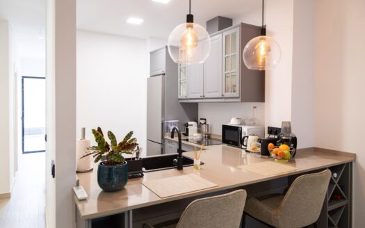 Ground floor apartment with terrace